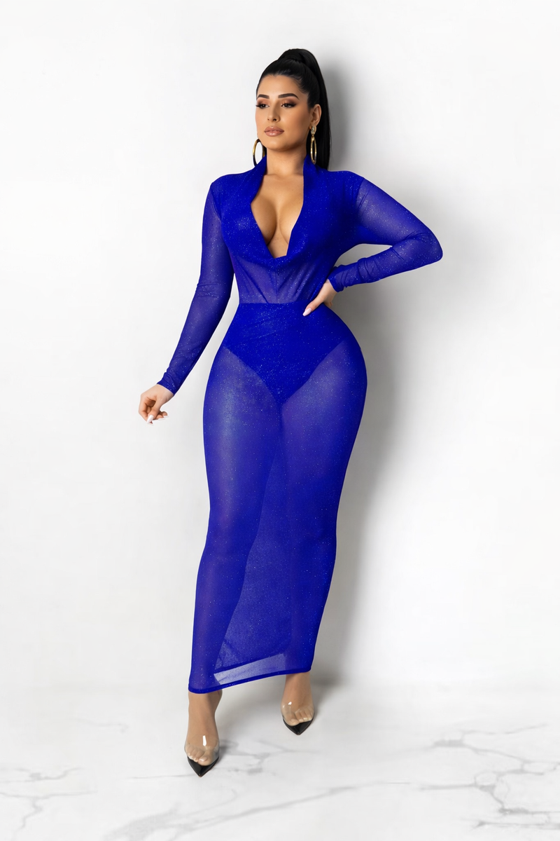Sexy Mesh See Through Glitter Evening Party Long Dress