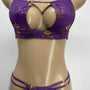 Plum Divine Selection Two Piece Exotic Dance Wear
